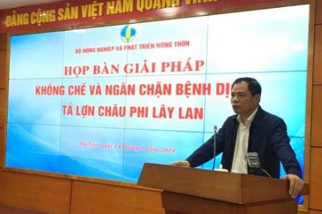 Họp khẩn về khống chế dịch tả lợn châu Phi