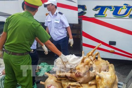 Hơn 220 kg thịt dê "bẩn" chuẩn bị vào quán nhậu