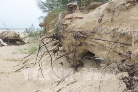 Nỗi lo biển "nuốt" làng Hà Tĩnh