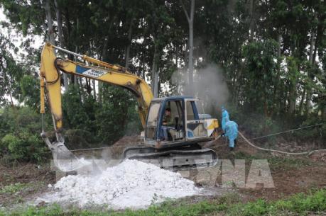 Quảng Ninh họp khẩn cấp khống chế dịch tả lợn châu Phi
