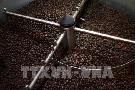 VinaCafé Biên Hòa bị truy thu, phạt và chậm nộp tiền thuế
