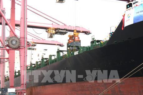 Tàu container lớn nhất từ trước đến nay cập cảng T.p Hồ Chí Minh