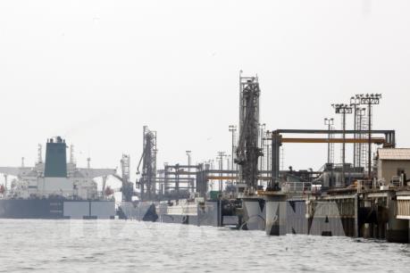 Thị trường dầu mỏ có tuần khởi sắc nhờ nỗ lực cắt giảm sản lượng