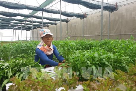 Bình Dương ưu tiên hàng đầu phát triển nông nghiệp đô thị công nghệ cao