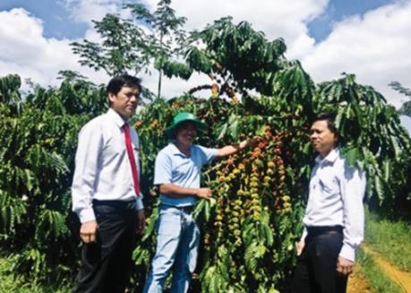 "Bà đỡ" cho nông nghiệp sạch