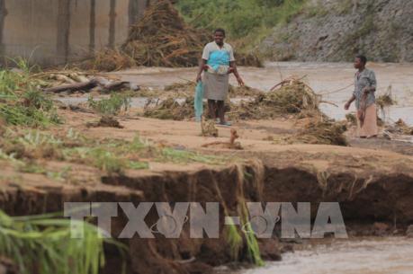 Bão Idai  khiến hơn 120 người chết và hàng trăm người mất tích