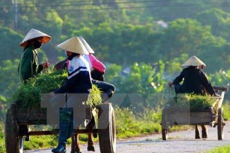 Điểm tựa xây dựng nông thôn mới