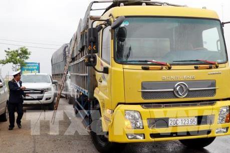 Họp trực tuyến triển khai giải pháp khống chế dịch tả lợn châu Phi