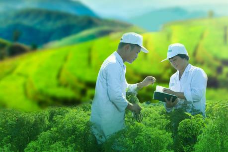 Traphaco trả cổ tức tỷ lệ 30% bằng tiền