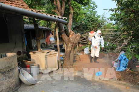 Thừa Thiên - Huế trực 24/24 giám sát chặt ổ dịch tả lợn châu Phi