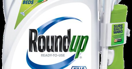Tòa án liên bang Mỹ: Thuốc diệt cỏ Roundup của Monsanto gây ung thư