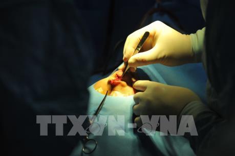Hàng chục trẻ được phẫu thuật miễn phí dị tật khe hở vòm miệng