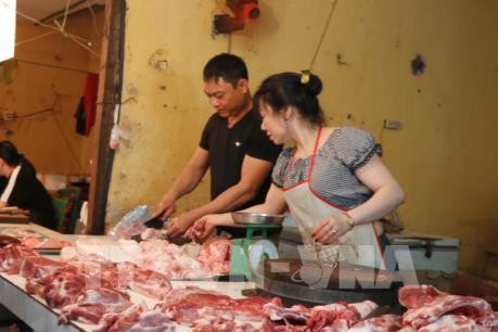 Triệu tập đối tượng đưa tin sai về dịch tả lợn châu Phi tại Lào Cai