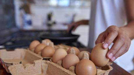 Australia thu hồi trứng gà do lo ngại nhiễm khuẩn salmonella
