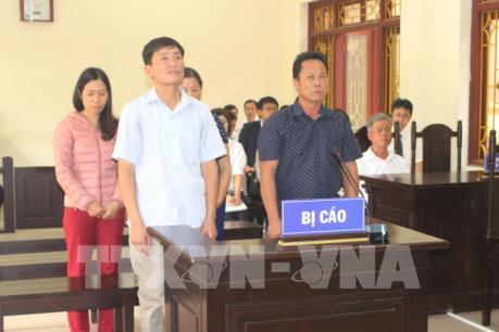 4 cán bộ xã lĩnh án vì sử dụng bằng giả