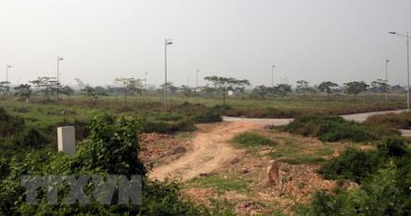 Thuê đất Sơn Trà với giá 1.000 đồng/m2/năm