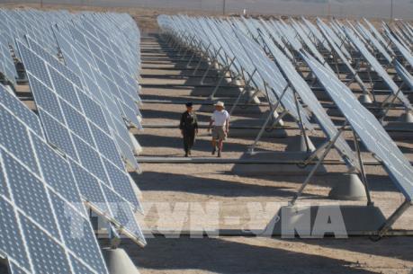 IEA: Thế giới còn cách xa mục tiêu tăng năng lượng tái tạo vào năm 2030