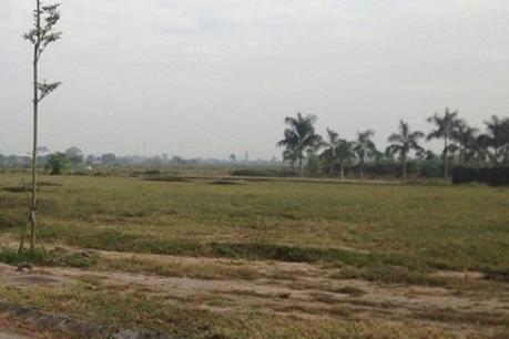 Sau 6 năm khởi công, dự án ở Vĩnh Phúc vẫn là cánh đồng cỏ hoang