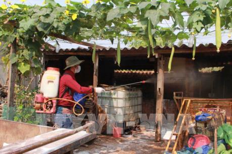 Xử lý các ổ dịch lở mồm long móng trên gia súc