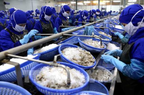 Tăng cạnh tranh cho thủy sản Việt Nam - Bài 2: Xác định chiến lược mới