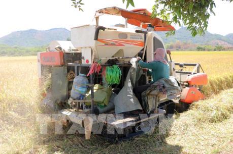 Ngân hàng Nhà nước đầu tư tín dụng phục vụ sản xuất nông nghiệp