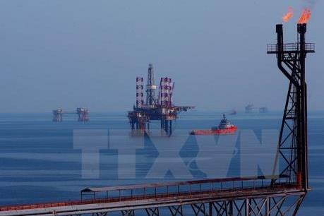 Bà Rịa-Vũng Tàu hỗ trợ tối đa cho doanh nghiệp Nga đến đầu tư