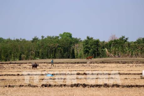 Nguy cơ tiếp diễn hạn hán, xâm nhập mặn