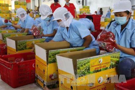 Quý 1, xuất khẩu các mặt hàng nông sản chính giảm mạnh