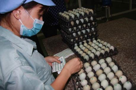 Dabaco chốt danh sách cổ đông trả cổ tức 10% bằng cổ phiếu