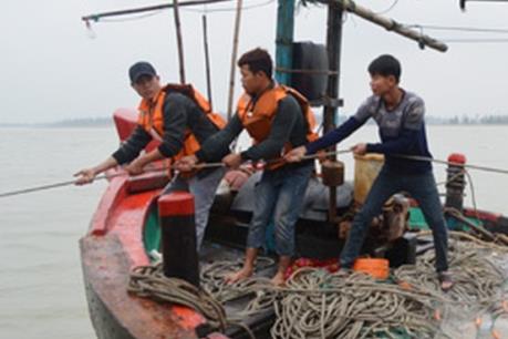 Nghệ An: Cứu thành công tàu cá cùng 16 thuyền viên bị nạn trên biển