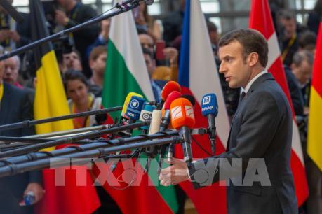 Nội bộ EU "lục đục" về đàm phán thương mại với Mỹ