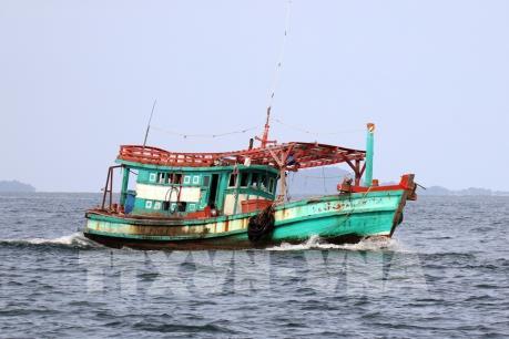 Khắc phục "thẻ vàng" IUU: Khó truy suất nguồn gốc thủy sản