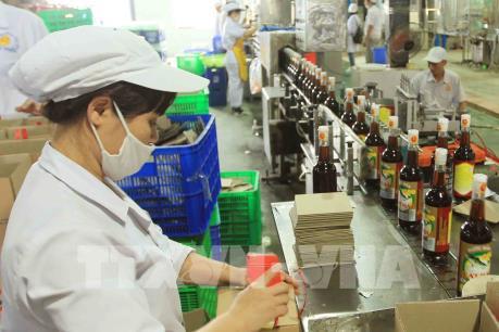 Hướng đi nào cho nghề sản xuất nước mắm truyền thống?