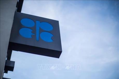 OPEC chưa nhất trí về việc cắt giảm sản lượng