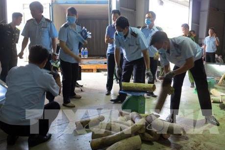 Điều tra mở rộng vụ vận chuyển số lượng lớn ngà voi về Việt Nam