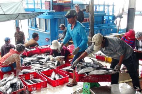 15 năm thực thi Hiệp định Hợp tác nghề cá Vịnh Bắc bộ Việt Nam - Trung Quốc