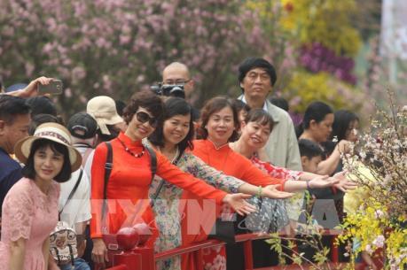 Kéo dài thêm 1 ngày Lễ hội hoa Anh đào Nhật Bản – Hà Nội 2019