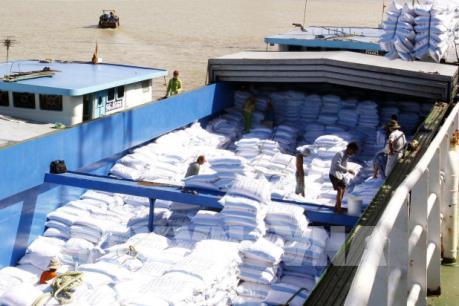 Cơ hội để Việt Nam gia tăng xuất khẩu gạo vào Trung Quốc
