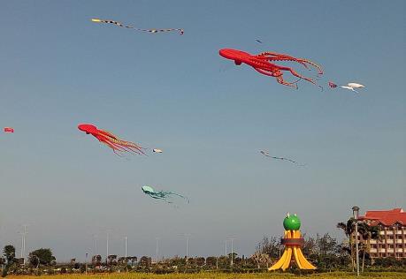 Ấn tượng lễ hội thả diều nghệ thuật Phú Yên