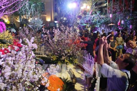 Quan hệ Việt Nam-Nhật Bản: Bài 1- Dấu ấn Lễ hội hoa anh đào lớn nhất thế giới