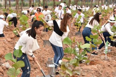 10.000 cây xanh được trồng trong chiến dịch Go Green 2019