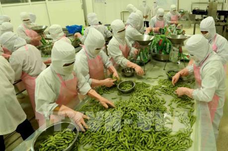 Xuất khẩu hàng hóa của An Giang khởi sắc trong quý I