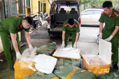 Bắt hàng trăm kg nầm lợn và thịt lợn mốc xanh, bốc mùi hôi thối