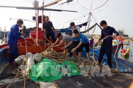 Cứu hộ thành công 3 tàu cá cùng 22 ngư dân gặp nạn trên biển