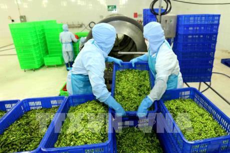 Nhiều lĩnh vực ngành nông nghiệp tăng trưởng khá