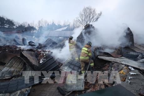 Tổng thống Hàn Quốc kiểm tra nỗ lực dập tắt hỏa hoạn