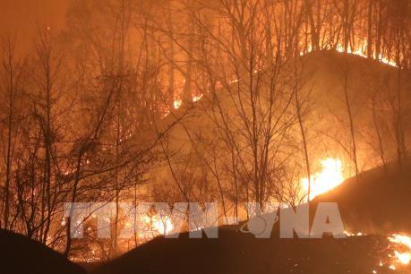 Đại sứ quán Việt Nam tại Hàn Quốc theo sát tình hình cháy rừng ở Goseong