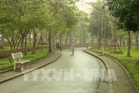 Tại sao cứ phải lấy đất công viên làm bãi đỗ xe?