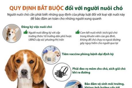 Quy định bắt buộc đối với người nuôi chó