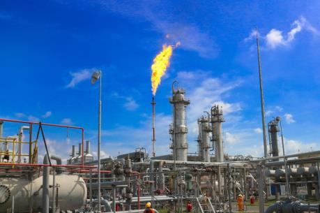  PV Gas muốn tăng sở hữu tại PGS